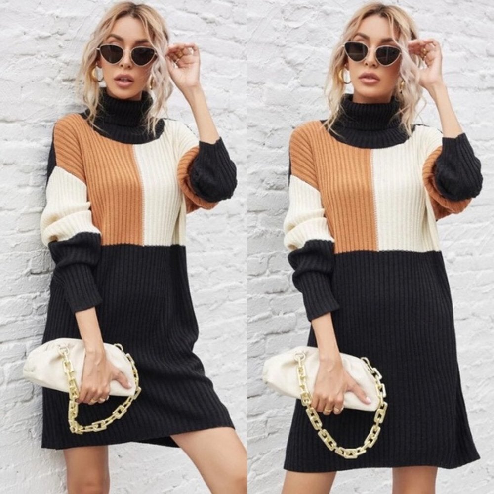 Turtleneck Color Block Sweater Dress