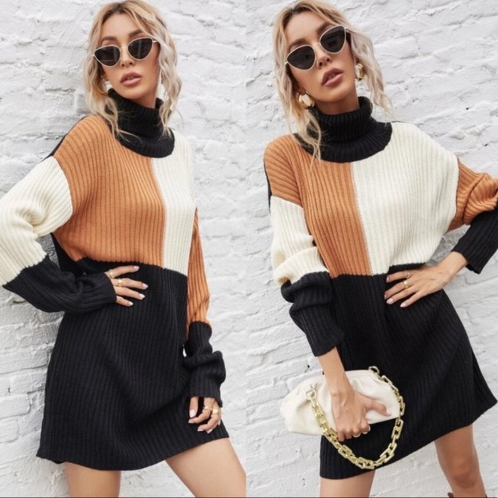 Turtleneck Color Block Sweater Dress