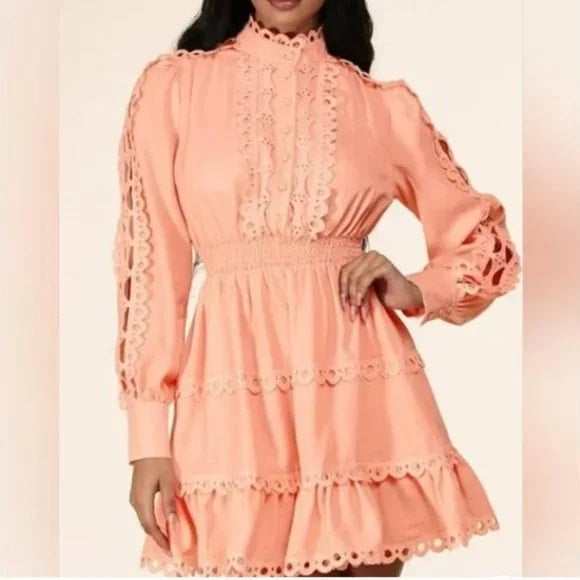 Peach Eyelet Smocked Waist Long Sleeve Mini Dress-zoom-1