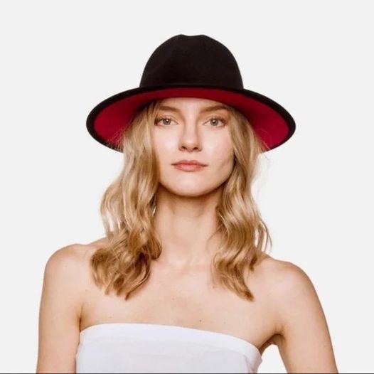 Two Tone Felt Wool Wide Brim Hat